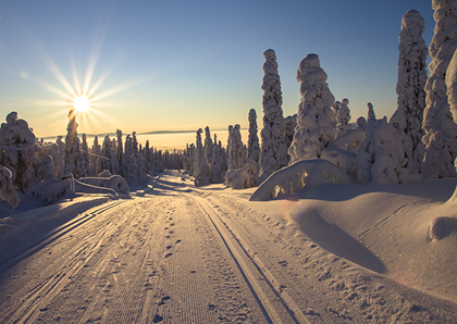 Weihnachtskarten mit Winterlandschaften